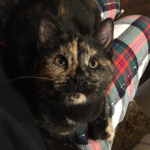 P L E A S E R E A D - Picture 5 of 10